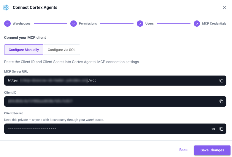Connect your MCP client